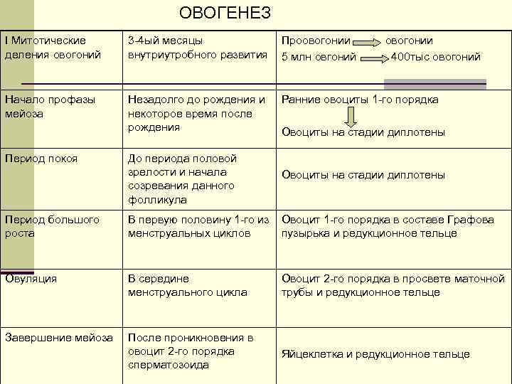 ОВОГЕНЕЗ I Митотические деления овогоний 3 -4 ый месяцы внутриутробного развития Проовогонии 5 млн