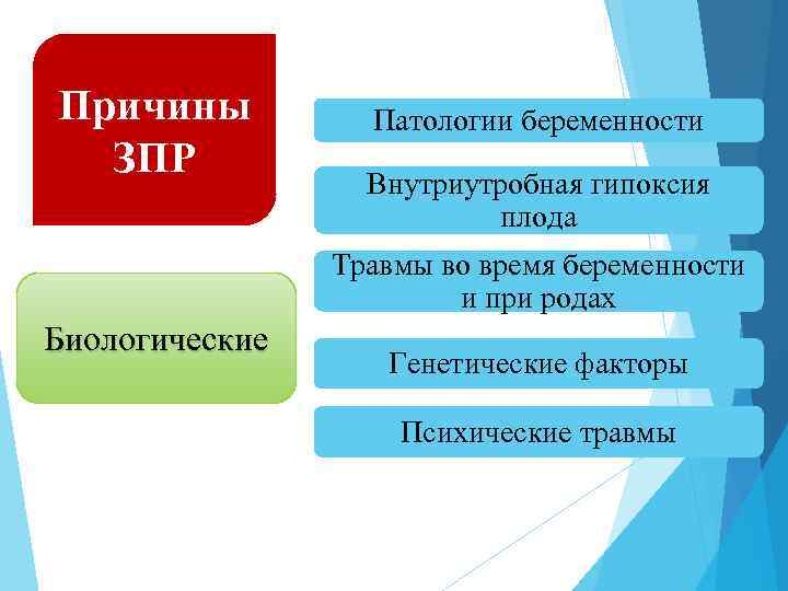 Причины ЗПР Патологии беременности Внутриутробная гипоксия плода Травмы во время беременности и при родах