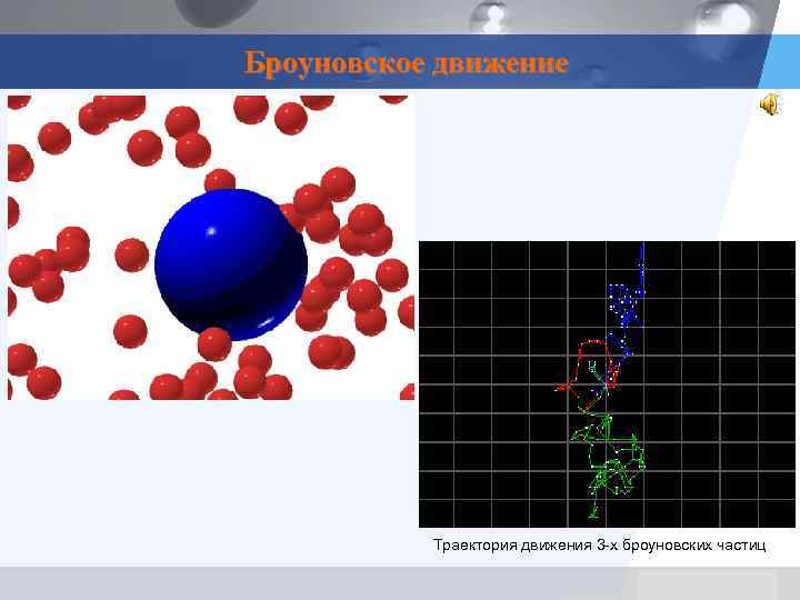 Броуновское движение Траектория движения 3 -х броуновских частиц LOGO 