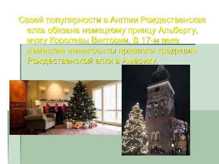 Своей популярности в Англии Рождественская елка обязана немецкому принцу Альберту, мужу Королевы Виктории. В