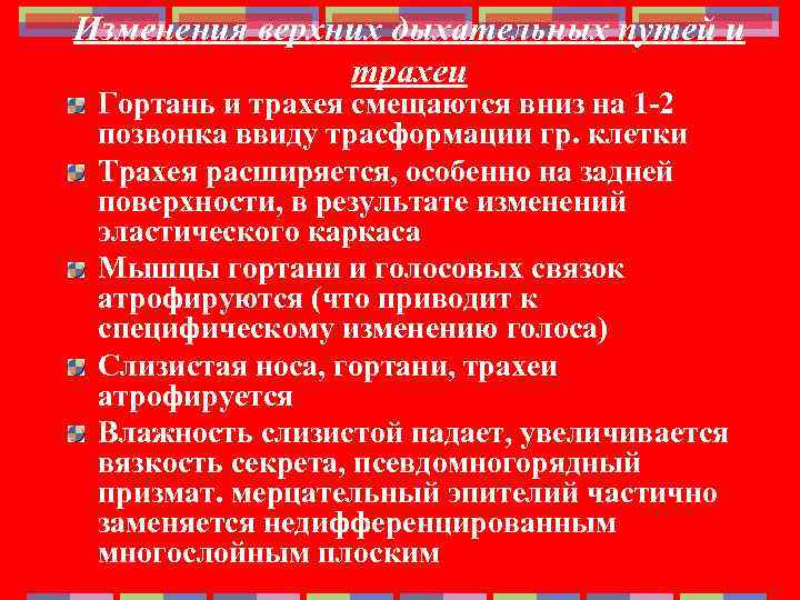 Изменения верхних дыхательных путей и трахеи Гортань и трахея смещаются вниз на 1 -2