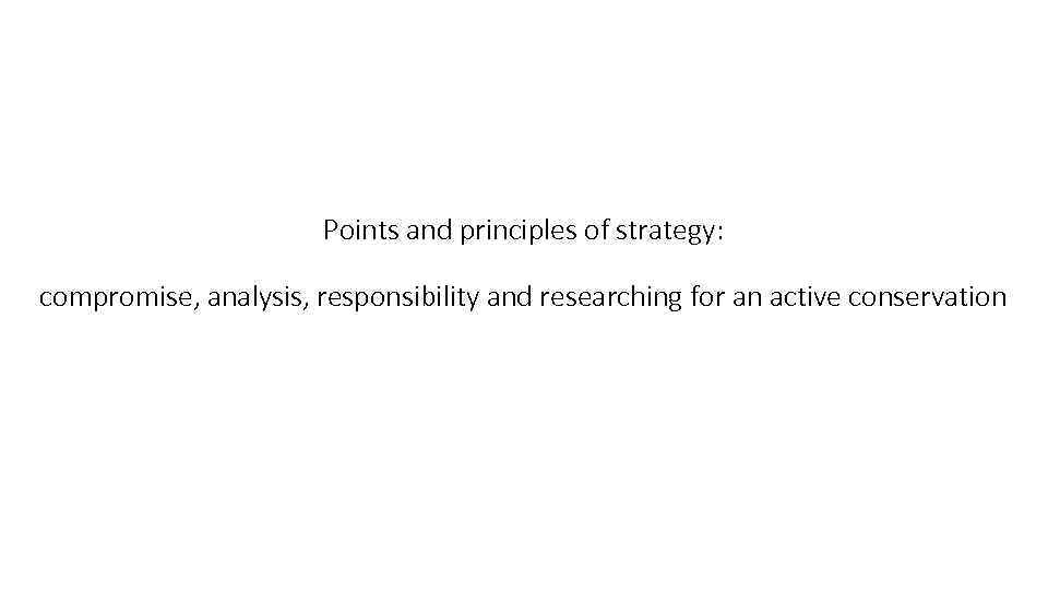 Points and principles of strategy: compromise, analysis, responsibility and researching for an active conservation