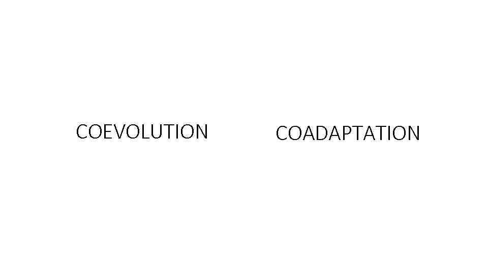 СOEVOLUTION COADAPTATION 