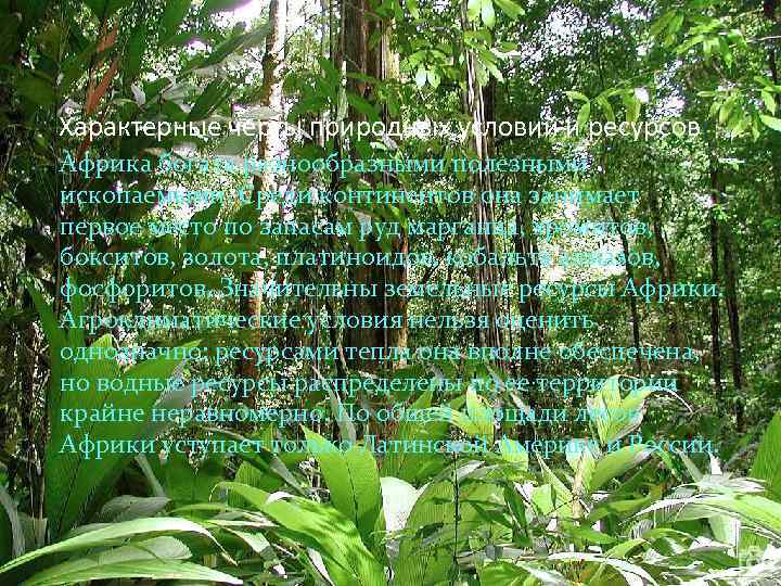 Характерные черты природных условий и ресурсов: Африка богата разнообразными полезными ископаемыми. Среди континентов она