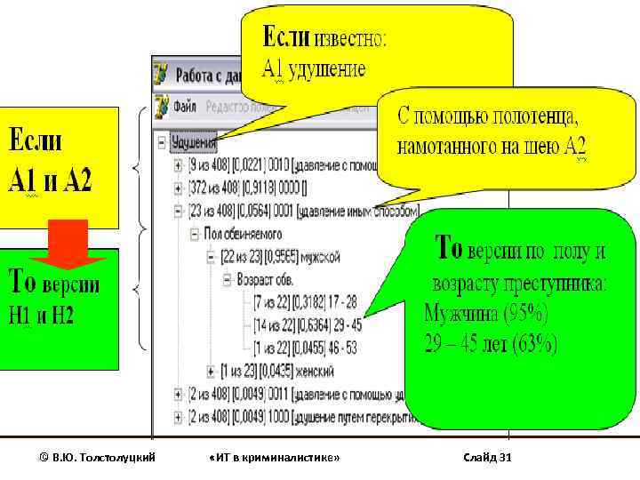 © В. Ю. Толстолуцкий «ИТ в криминалистике» Слайд 31 