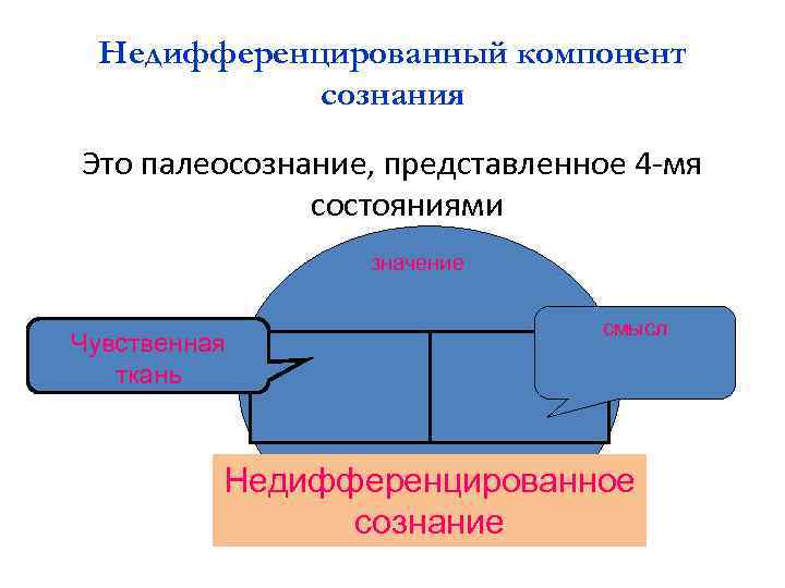 Недифференцированный компонент сознания Это палеосознание, представленное 4 -мя состояниями значение Чувственная ткань смысл Недифференцированное