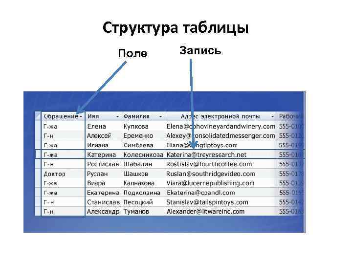Структура таблицы Поле Запись 