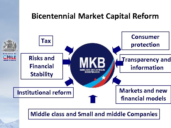 Bicentennial Market Capital Reform Tax MINISTRY OF FINANCE Risks and Financial Stability Institutional reform