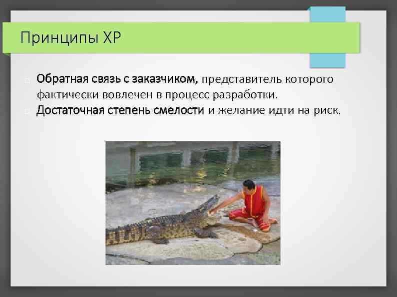 Принципы XP Обратная связь с заказчиком, представитель которого фактически вовлечен в процесс разработки. Достаточная