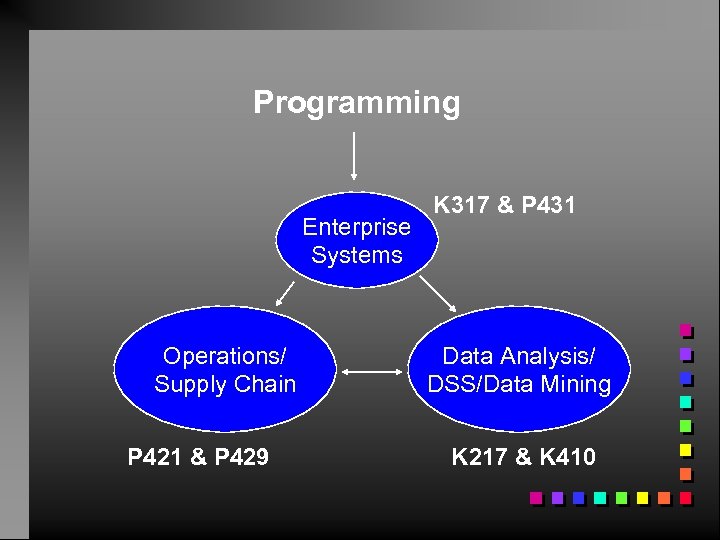 Programming Enterprise Systems Operations/ Supply Chain P 421 & P 429 K 317 &
