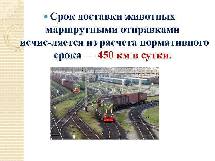  Срок доставки животных маршрутными отправками исчис ляется из расчета нормативного срока — 450