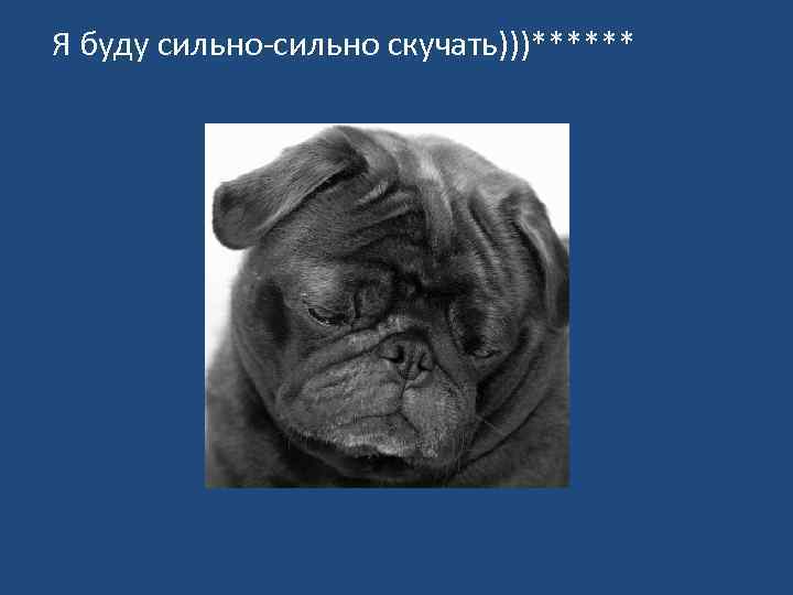 Я буду сильно-сильно скучать)))****** 