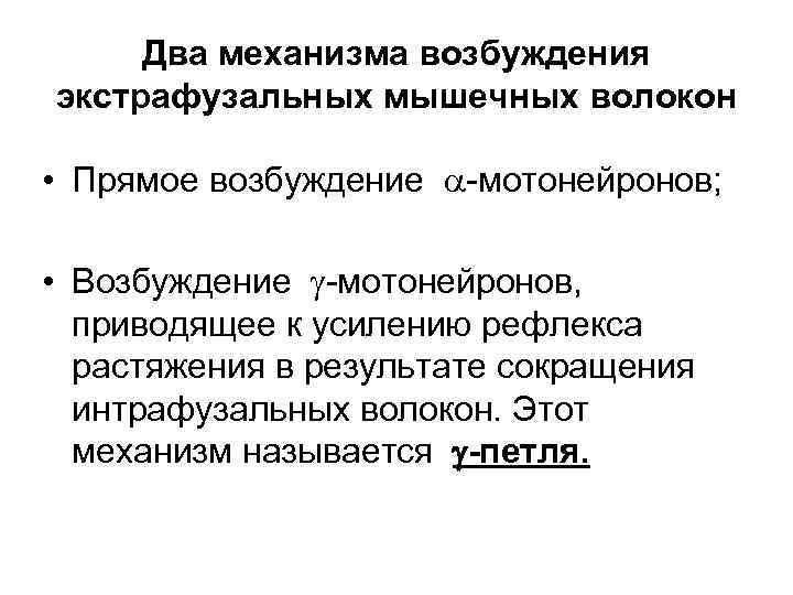 Два механизма возбуждения экстрафузальных мышечных волокон • Прямое возбуждение -мотонейронов; • Возбуждение -мотонейронов, приводящее