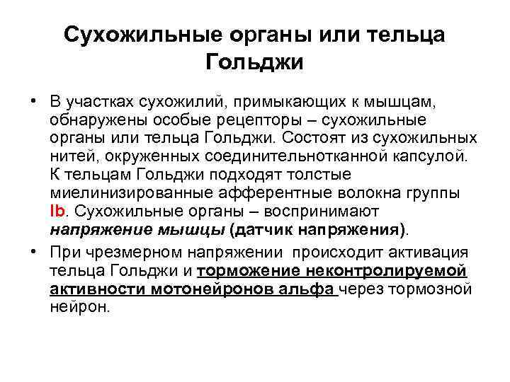 Сухожильные органы или тельца Гольджи • В участках сухожилий, примыкающих к мышцам, обнаружены особые