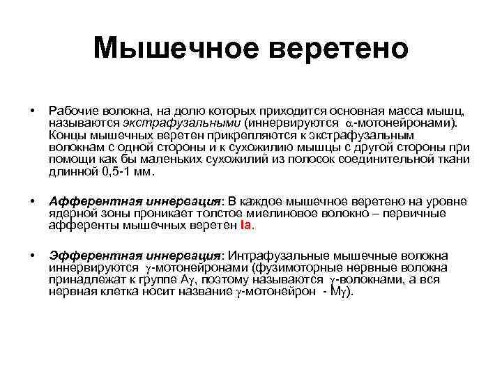 Мышечное веретено • Рабочие волокна, на долю которых приходится основная масса мышц, называются экстрафузальными