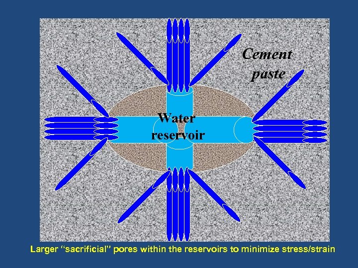 Cement paste Water reservoir Larger “sacrificial” pores within the reservoirs to minimize stress/strain 