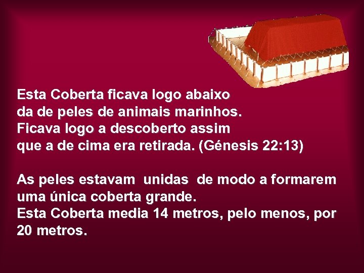 Esta Coberta ficava logo abaixo da de peles de animais marinhos. Ficava logo a