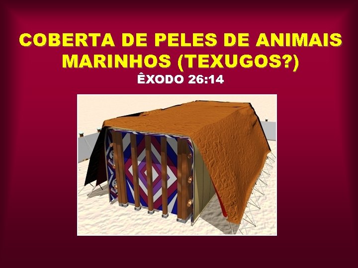 COBERTA DE PELES DE ANIMAIS MARINHOS (TEXUGOS? ) ÊXODO 26: 14 