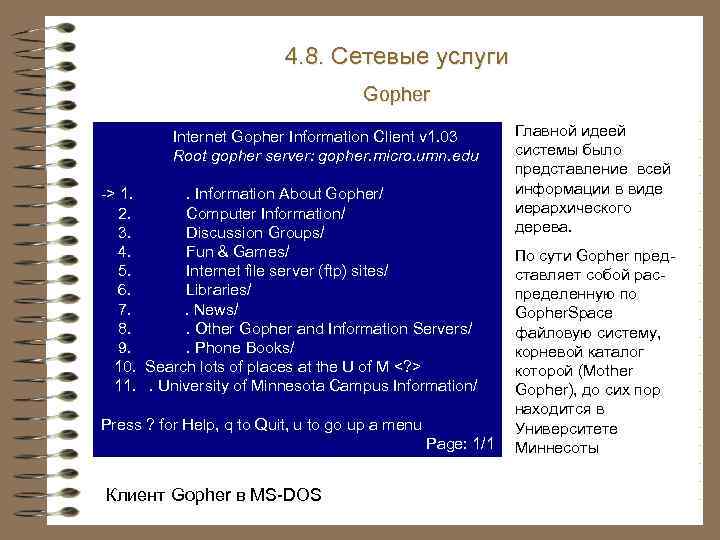 4. 8. Сетевые услуги Gopher Internet Gopher Information Client v 1. 03 Root gopher