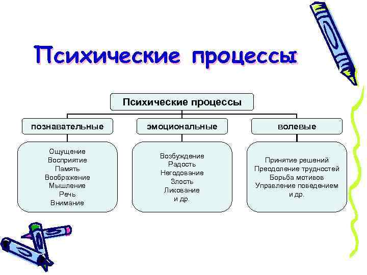 Психические процессы познавательные эмоциональные волевые Ощущение Восприятие Память Воображение Мышление Речь Внимание Возбуждение Радость