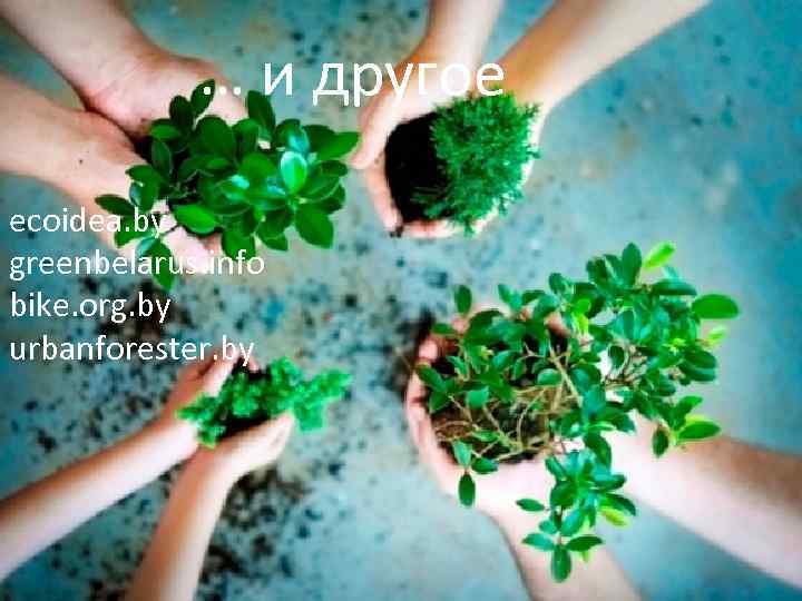 … и другое ecoidea. by greenbelarus. info bike. org. by urbanforester. by 