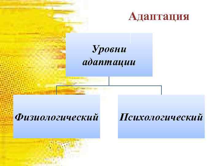 Адаптация Уровни адаптации Физиологический Психологический 