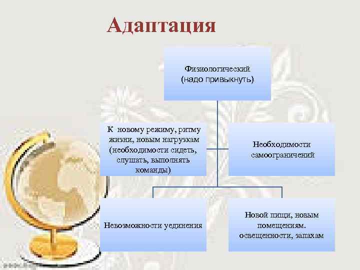 Адаптация Физиологический (надо привыкнуть) К новому режиму, ритму жизни, новым нагрузкам (необходимости сидеть, слушать,