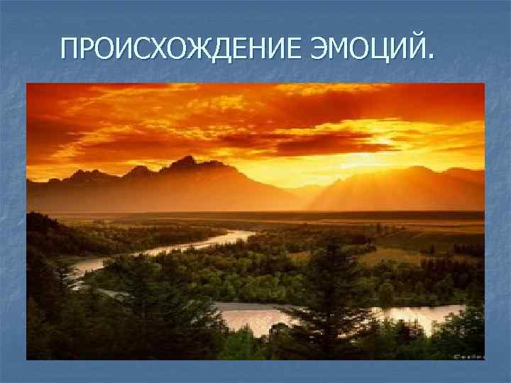 ПРОИСХОЖДЕНИЕ ЭМОЦИЙ. 
