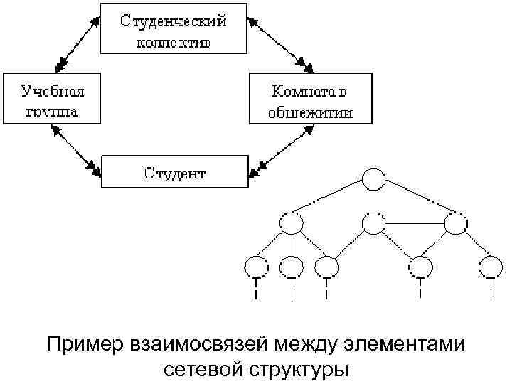 Сетевые организации управления. Сетевая структура пример. Элементы сетевой структуры. Связи между элементами структуры.. Структура системы пример взаимосвязи элементов.