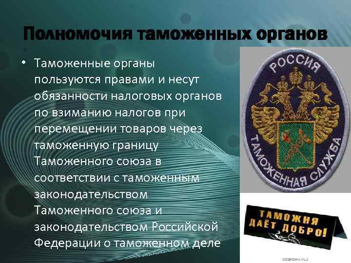 Права и обязанности налоговых органов презентация