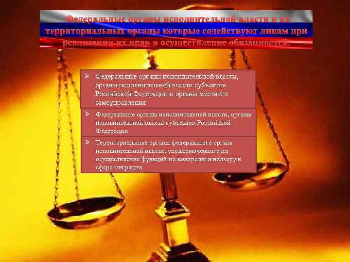 Федеральные органы исполнительной власти и их территориальных органы которые содействуют лицам при реализации их