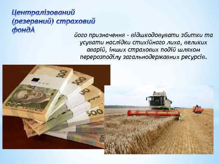 його призначення - відшкодовувати збитки та усувати наслідки стихійного лиха, великих аварій, інших страхових