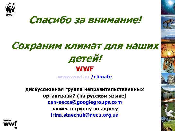 Спасибо за внимание! Сохраним климат для наших детей! WWF www. wwf. ru /climate дискуссионная
