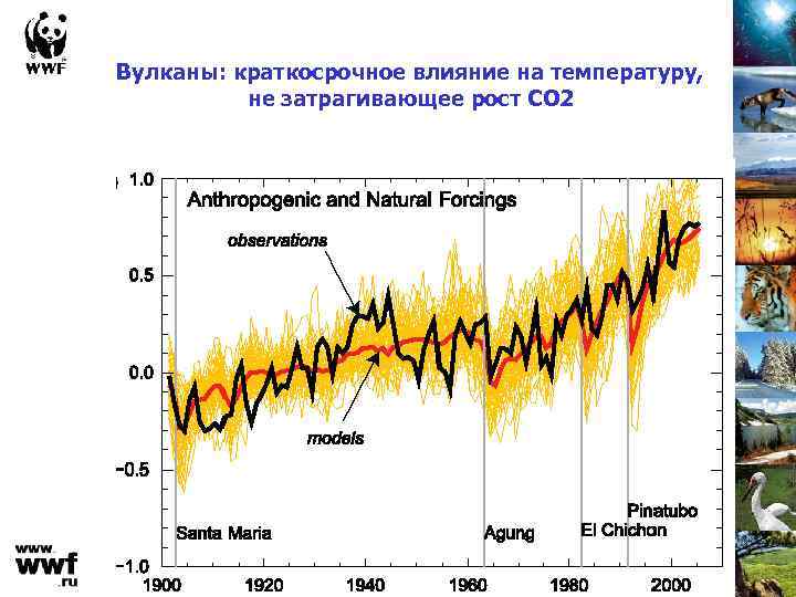 Вулканы: краткосрочное влияние на температуру, не затрагивающее рост СО 2 