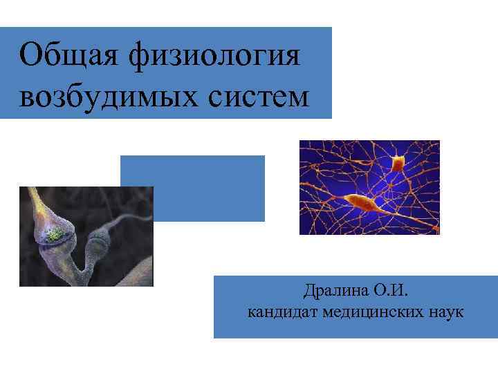 Общая физиология возбудимых систем Дралина О. И. кандидат медицинских наук 