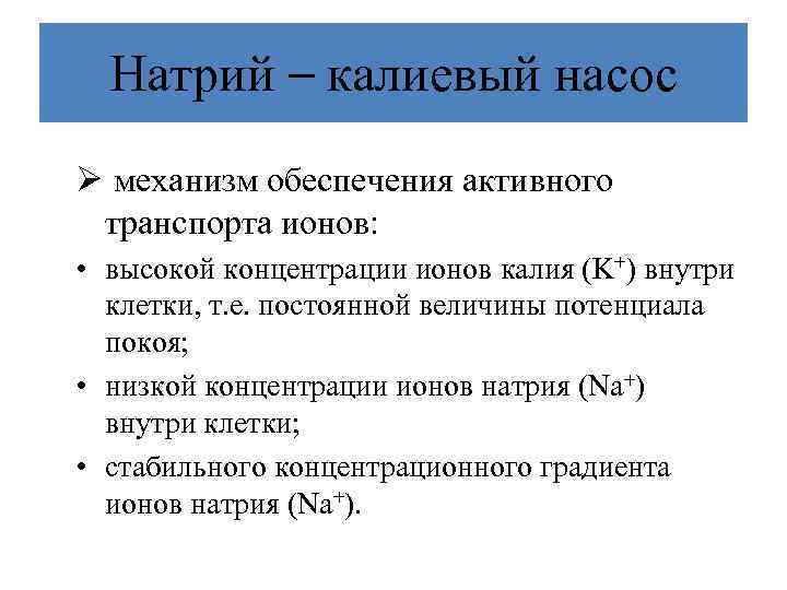 Натрий – калиевый насос Ø механизм обеспечения активного транспорта ионов: • высокой концентрации ионов