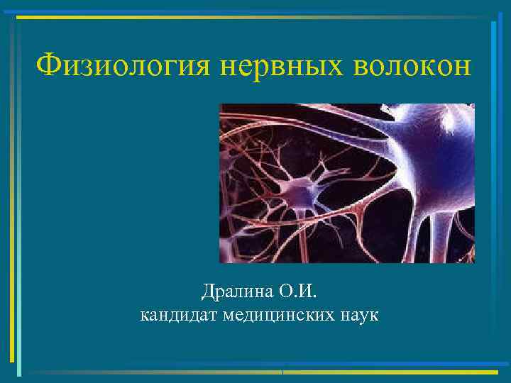 Физиология нервных волокон Дралина О. И. кандидат медицинских наук 