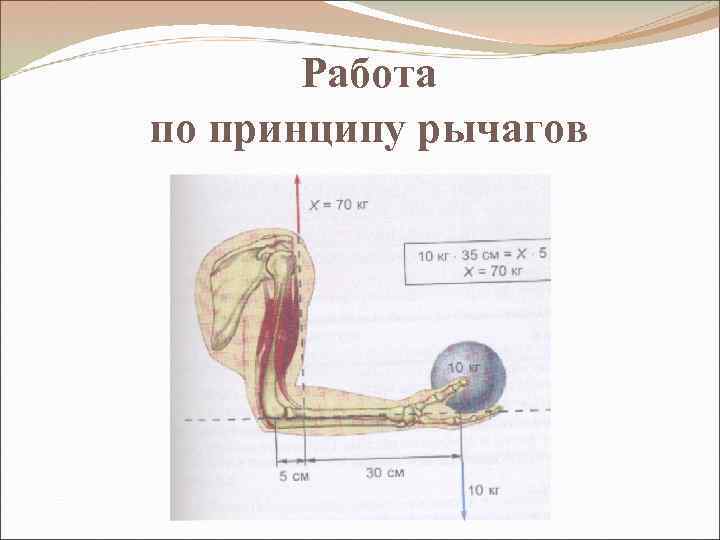 Работа по принципу рычагов 