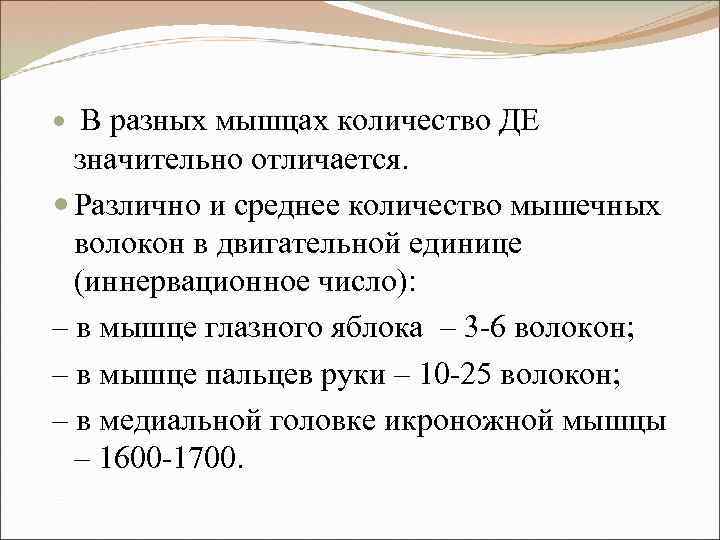 В разных мышцах количество ДЕ значительно отличается. Различно и среднее количество мышечных волокон в