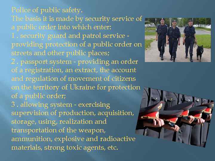 Police of public safety. The basis it is made by security service of a