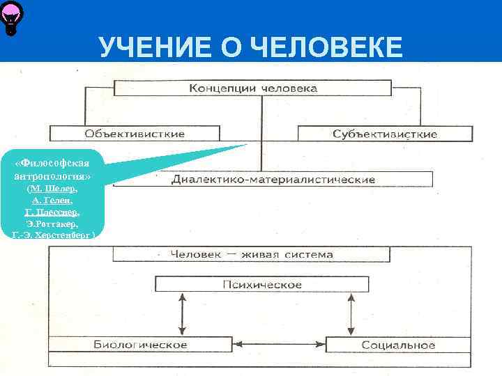 УЧЕНИЕ О ЧЕЛОВЕКЕ «Философская антропология» (М. Шелер, А. Гелен, Г. Плесснер, Э. Роттакер, Г.