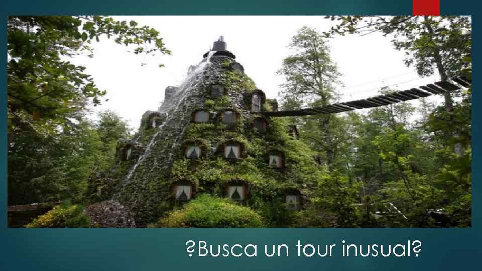 ? Busca un tour inusual? 