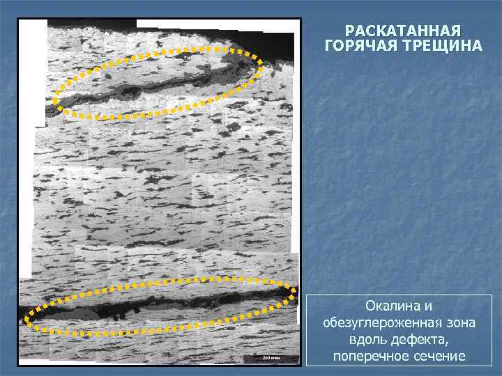 РАСКАТАННАЯ ГОРЯЧАЯ ТРЕЩИНА Окалина и обезуглероженная зона вдоль дефекта, поперечное сечение 