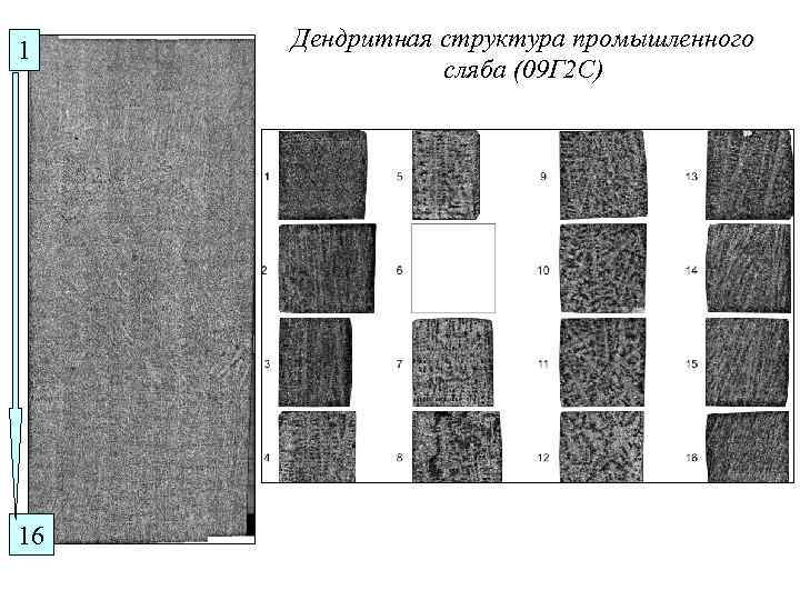 1 16 Дендритная структура промышленного сляба (09 Г 2 С) 