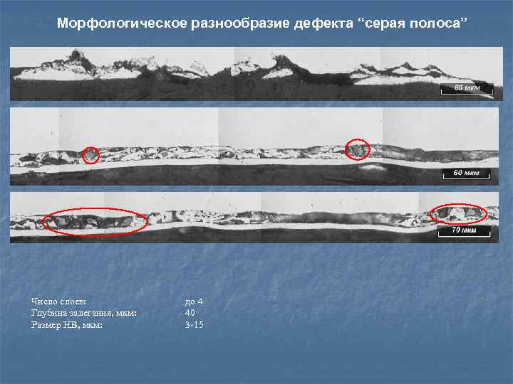 Морфологическое разнообразие дефекта “серая полоса” Число слоев: Глубина залегания, мкм: Размер НВ, мкм: до
