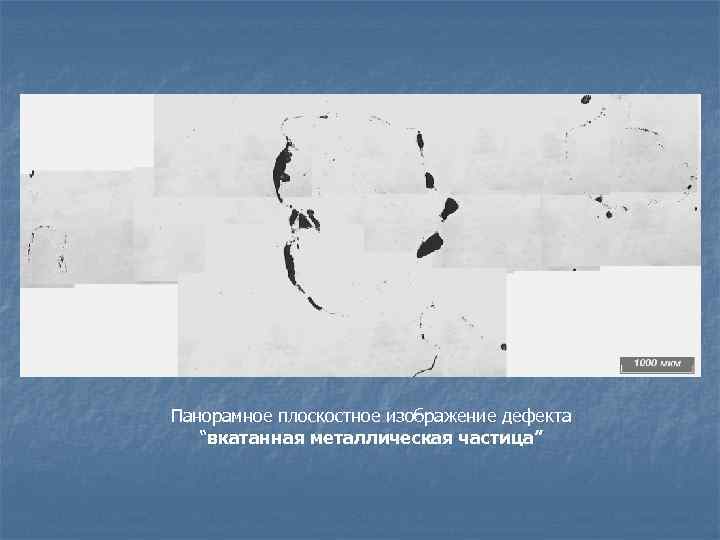 Панорамное плоскостное изображение дефекта “вкатанная металлическая частица” 