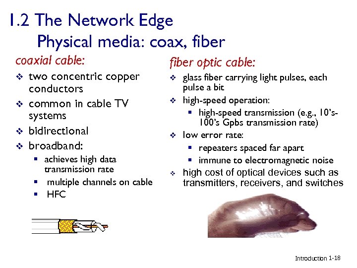 1. 2 The Network Edge Physical media: coax, fiber coaxial cable: v v two