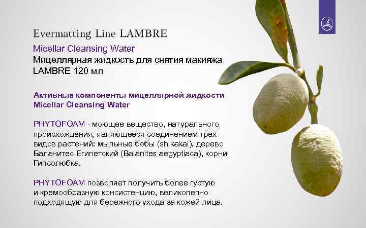 Micellar Cleansing Water Мицеллярная жидкость для снятия макияжа LAMBRE 120 мл Активные компоненты мицеллярной