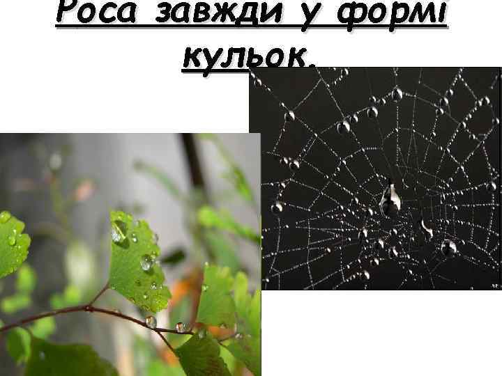 Pоса завжди у формі кульок. 