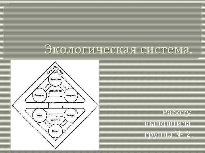 Экологическая система. Работу выполнила группа № 2. 